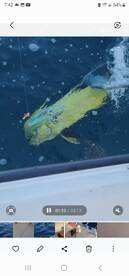 Fishing with Mitchell