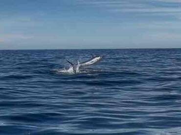 Amazing Full Day with Machine and Kevin