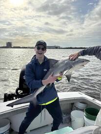 an intelligent and down to earth guy 