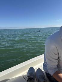 Most relaxing fishing guide