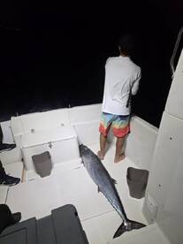 Skilful crew and huge fish