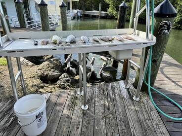 super fun day…ready to do it again!