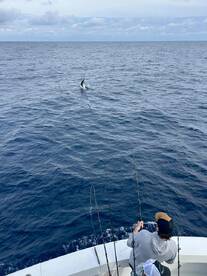 6 people 6 sails caught 