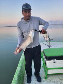 This was a great surprise Christmas present!