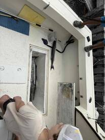 amazing family trip for the kids and adults