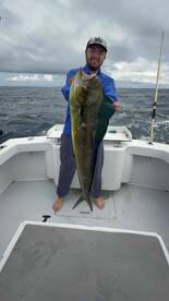 Blue Marlin -Sailfish -Mahi 