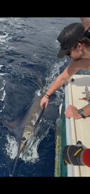 excellent must do trip