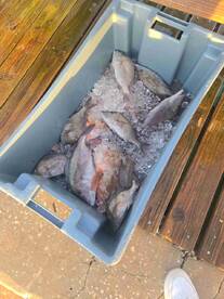 December fishing trip