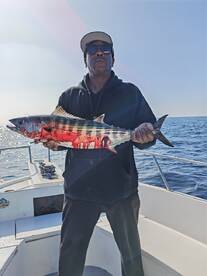 Fish after fish after fish