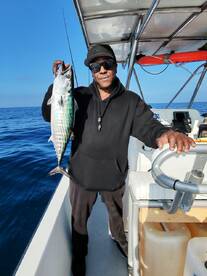 Fish after fish after fish