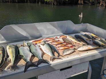 December fishing trip