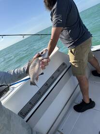 We caught lots of fish!