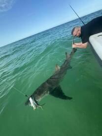 Captain Dan is the man!! 