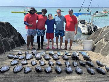 Awesome - 41 Fish !! 