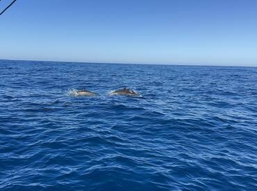 Best captain and crew