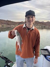 knowledgable guide who worked hard