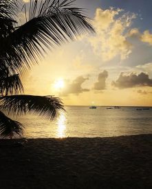 4 hour trip with Hanna! 