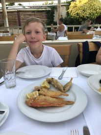 Half day trip with with captain Andreas