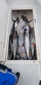 8 hrs with captain Robert Peel 