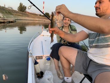 Great experience, highly recommended