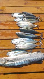 Great fishing trip with Capt. Artley