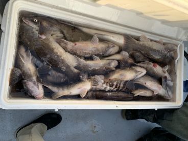 Best Captain, Deckhand and Boat in NJ