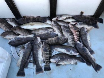 Best Captain, Deckhand and Boat in NJ