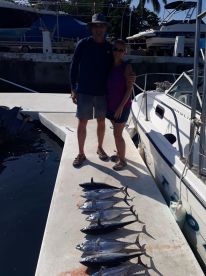 Bonito fishing with Captain Luis
