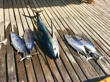 Le Performant 4 October 2016