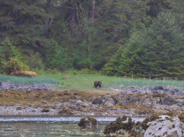 Multi-Day Sitka Fishing Trip