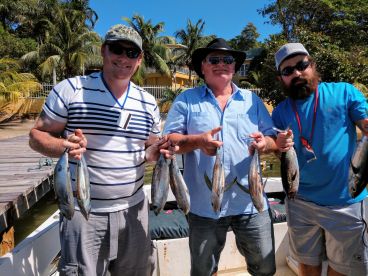 We are very pleased as you can see