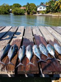 Captain did all he could to keep us on the fish