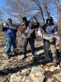 Half day trip with Captain David