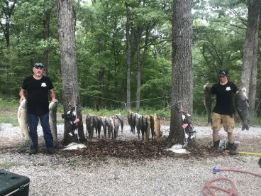 Night bow fishing trip