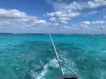 6 hours with Iris and Darcy