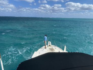 6 hours with Iris and Darcy