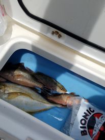 Morning Half Day Trip to the Flats with Mike