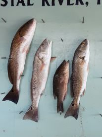 September fishing trip