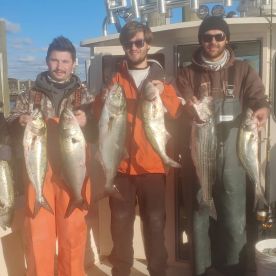 Full Day Trip in Montauk 