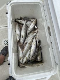 Great day on the water