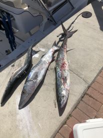 Full day with Captain Jake!