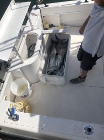 Full day with Captain Jake!