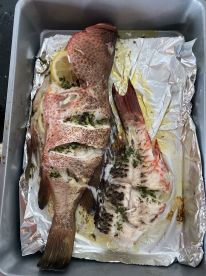 Awesome time spear fishing with local experts!