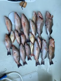 8 hour trip with Capt Jeff 