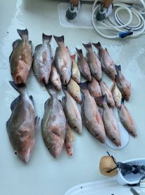 8 hour trip with Capt Jeff 