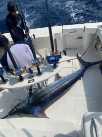 Full Day -10 Hour Trip