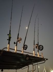 Half day Harbour fishing