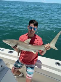 Half day shark trip 