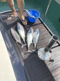 Great fishing trip