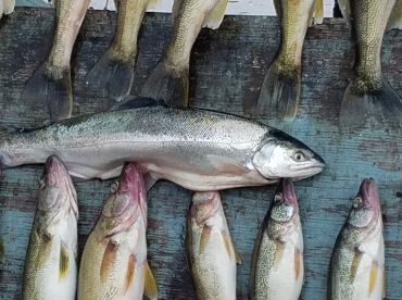 Full day with Capt  Bob and scooter